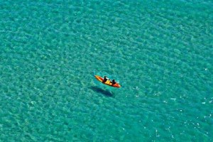 kayak-shark-before